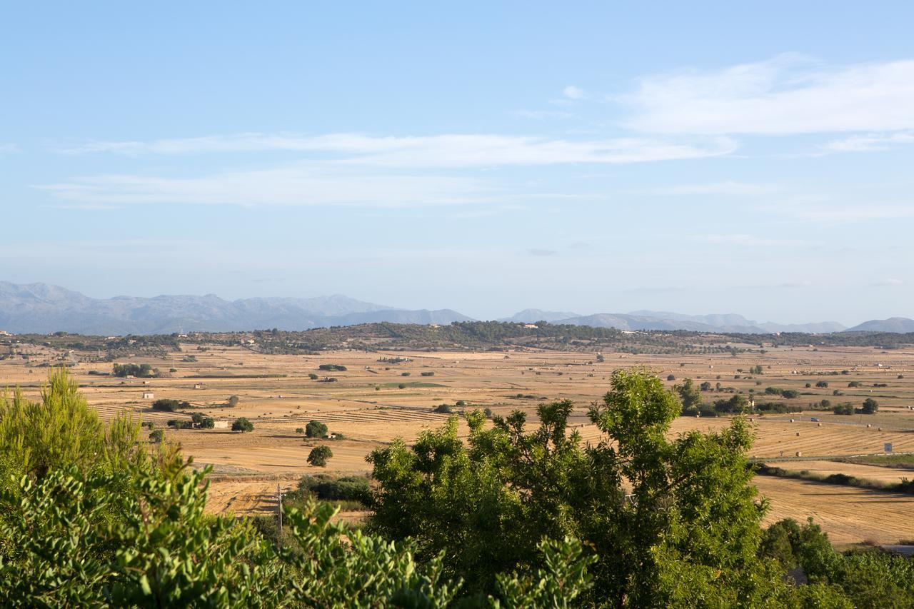 Casa Font I Roig 4* Maria De La Salut